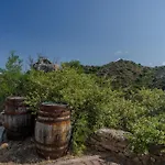 Casa Maya